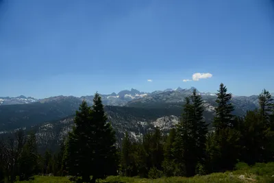 DSC_0241 (Large).JPG